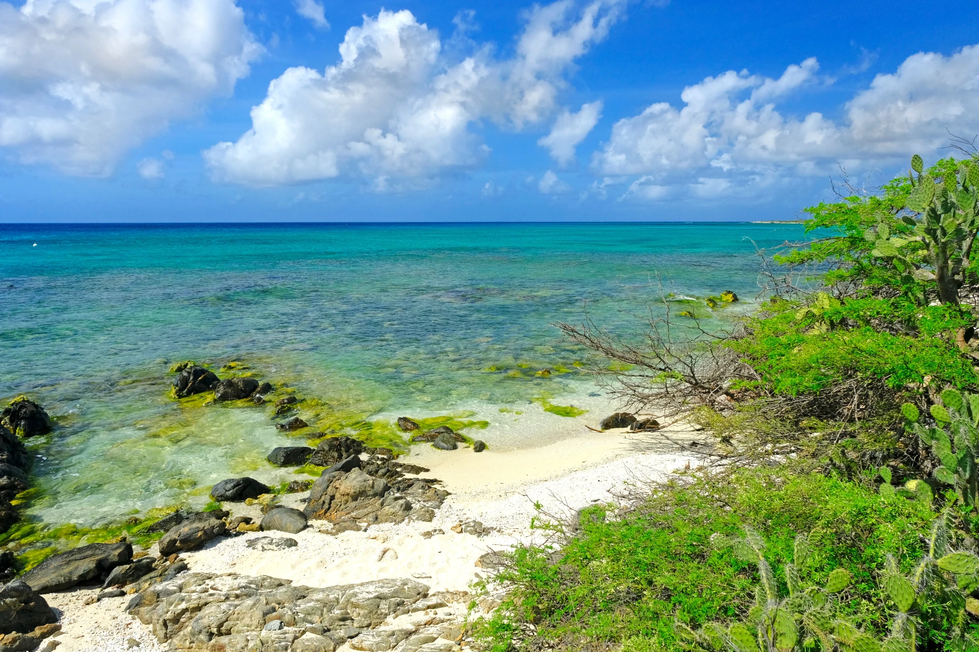 Boca Catalina Beach Aruba