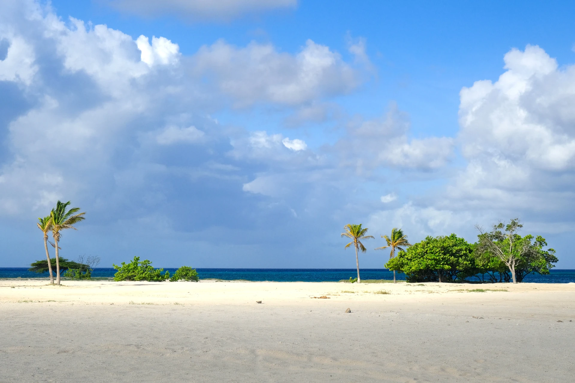 Bushiri Beach Aruba