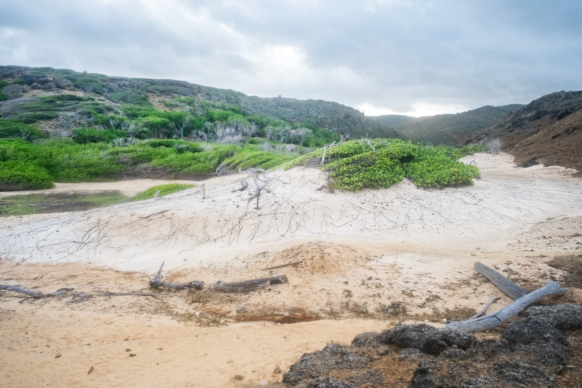 Sand dune at Dos Playa Beach Aruba