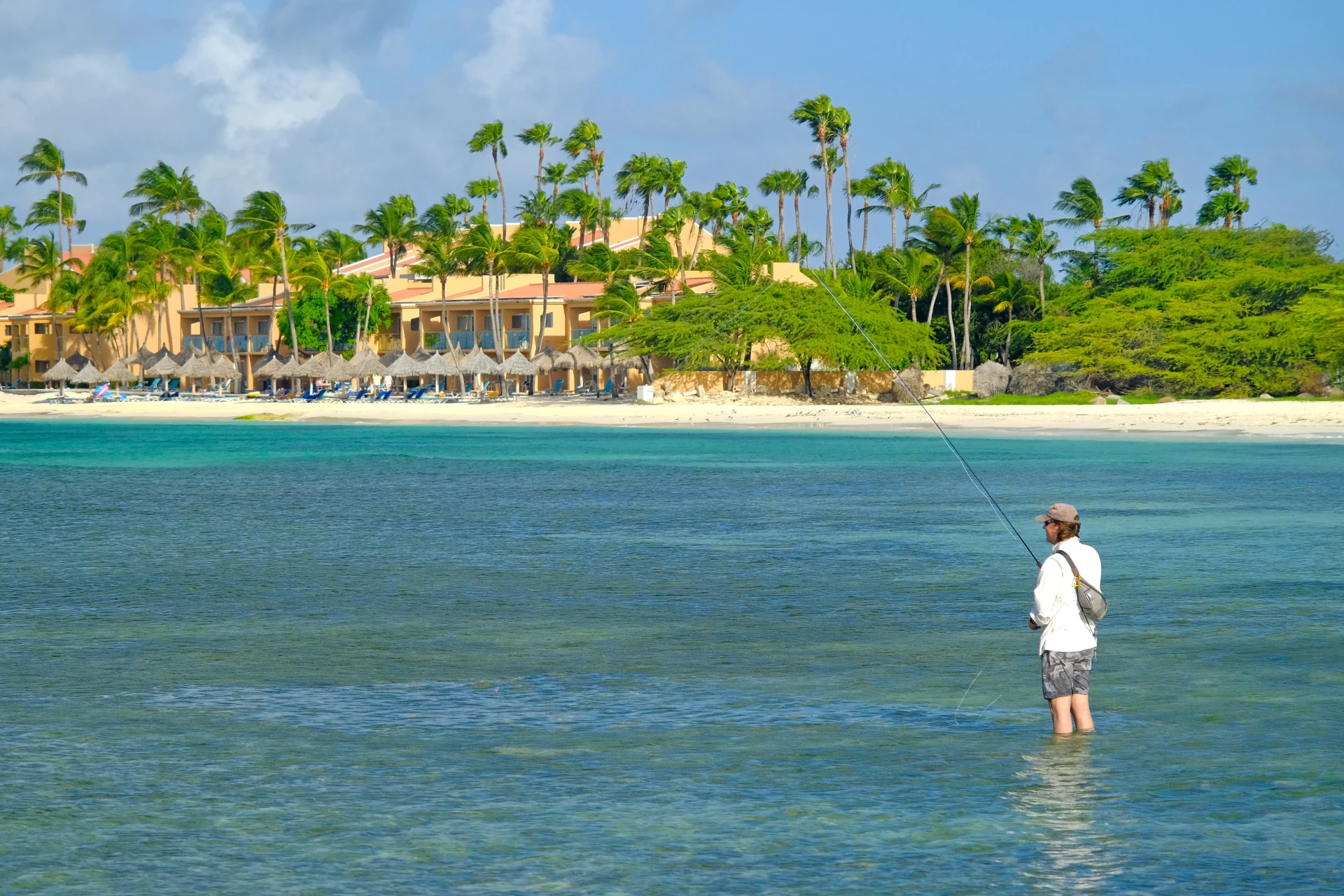Things to do at Druif Beach Aruba