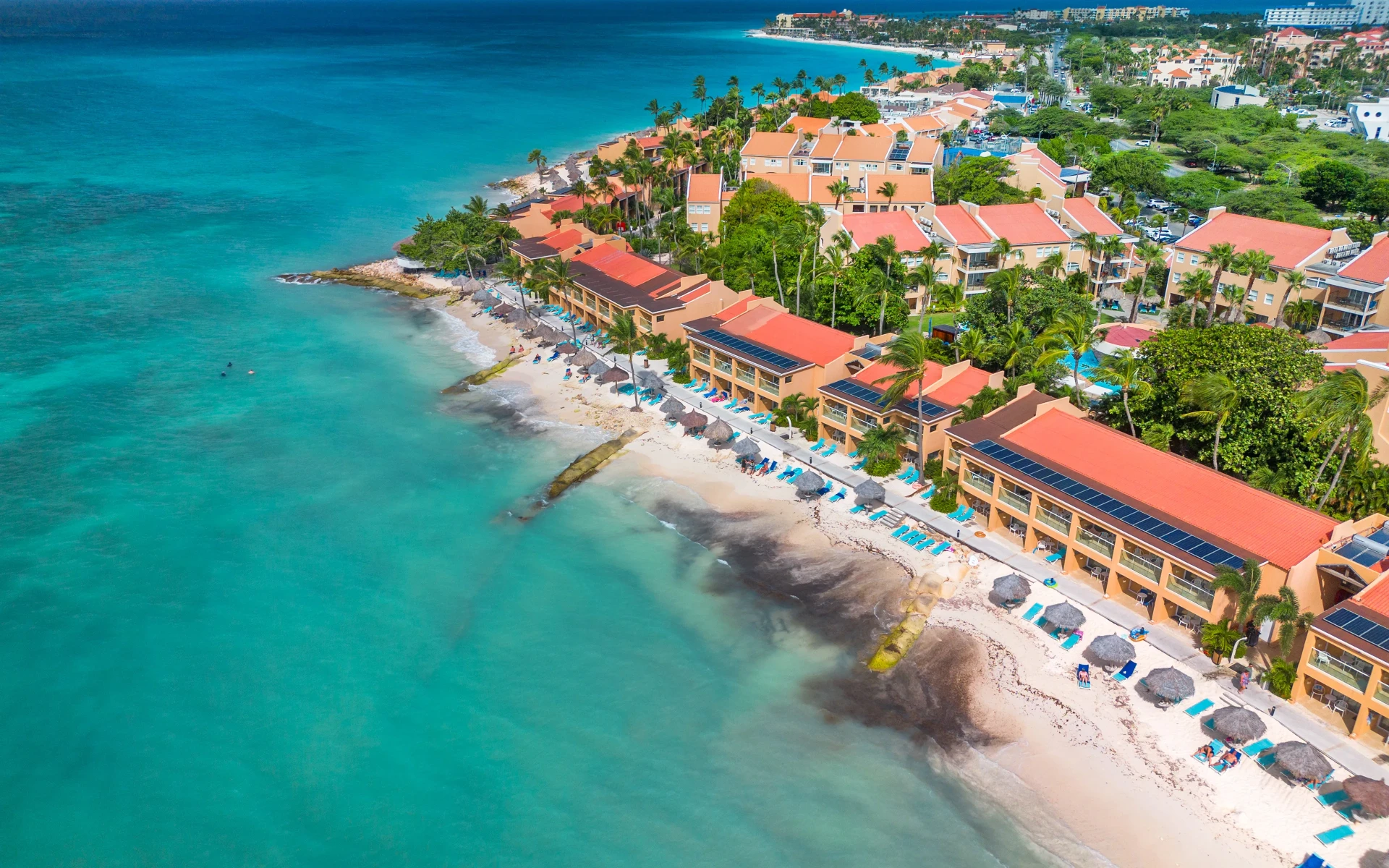 Druif Beach Aruba drone photo