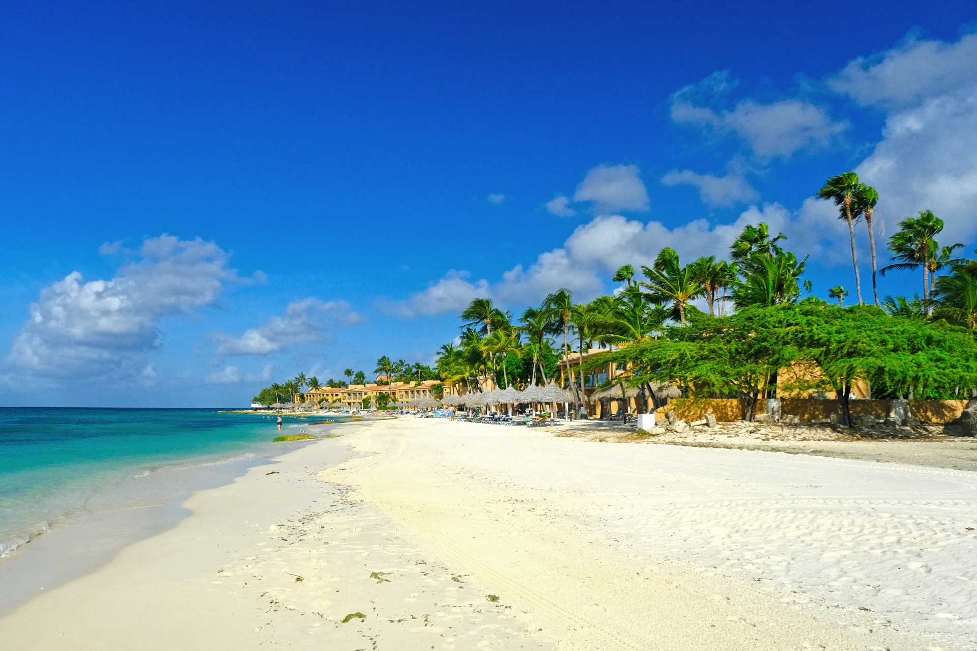 Druif Beach Aruba