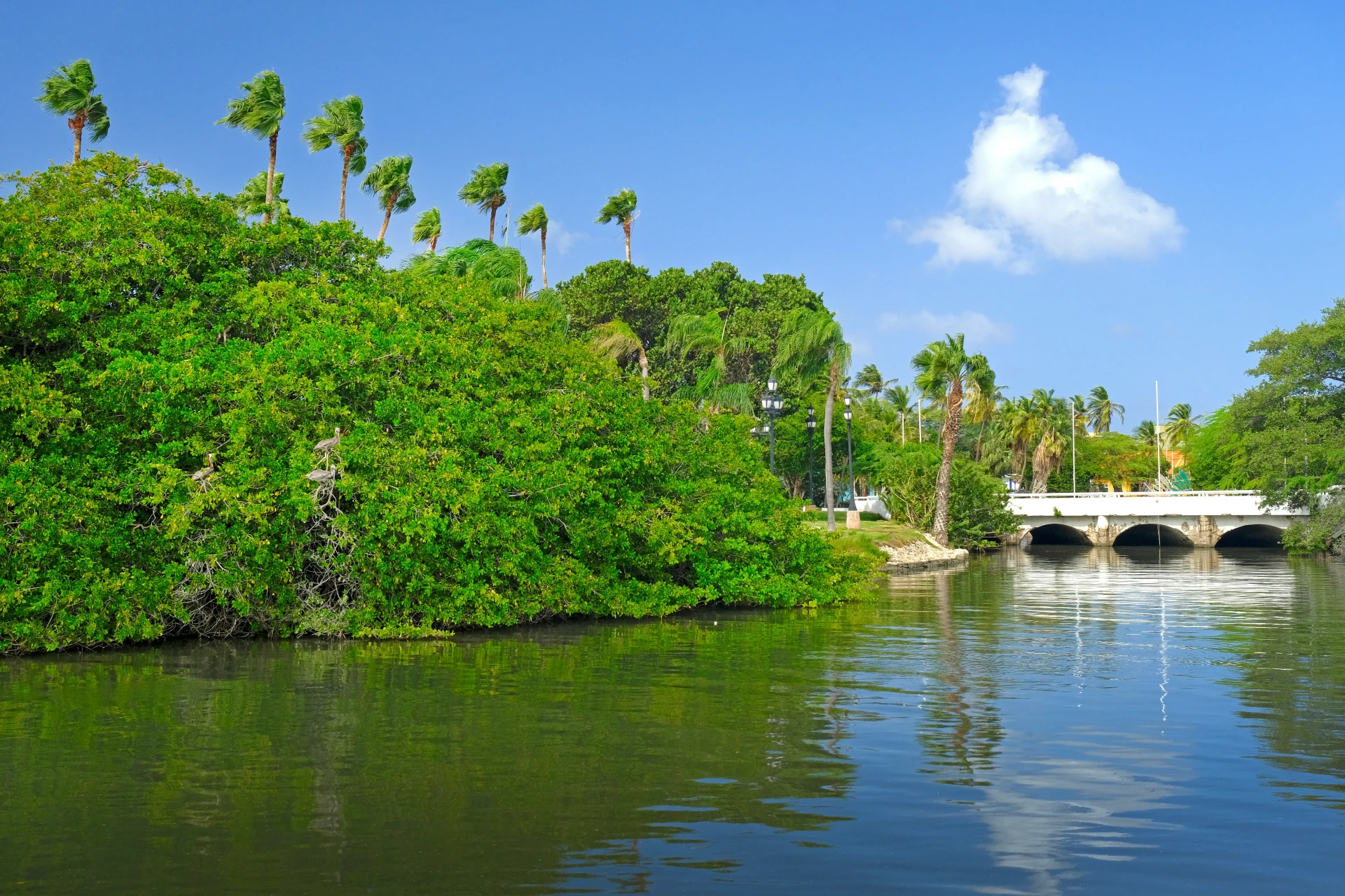 Governor's Bay Beach Aruba