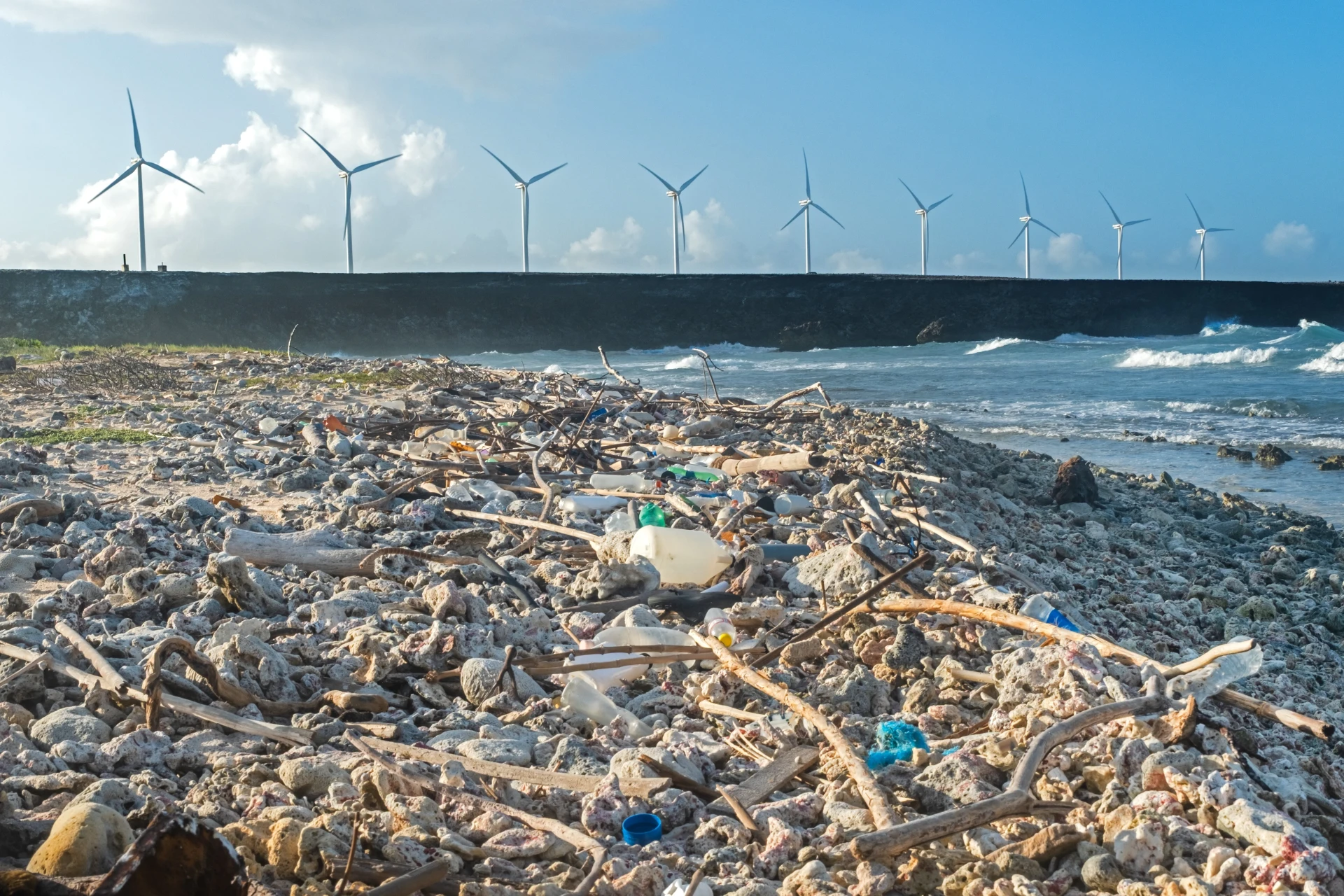 Grapefield Beach Aruba