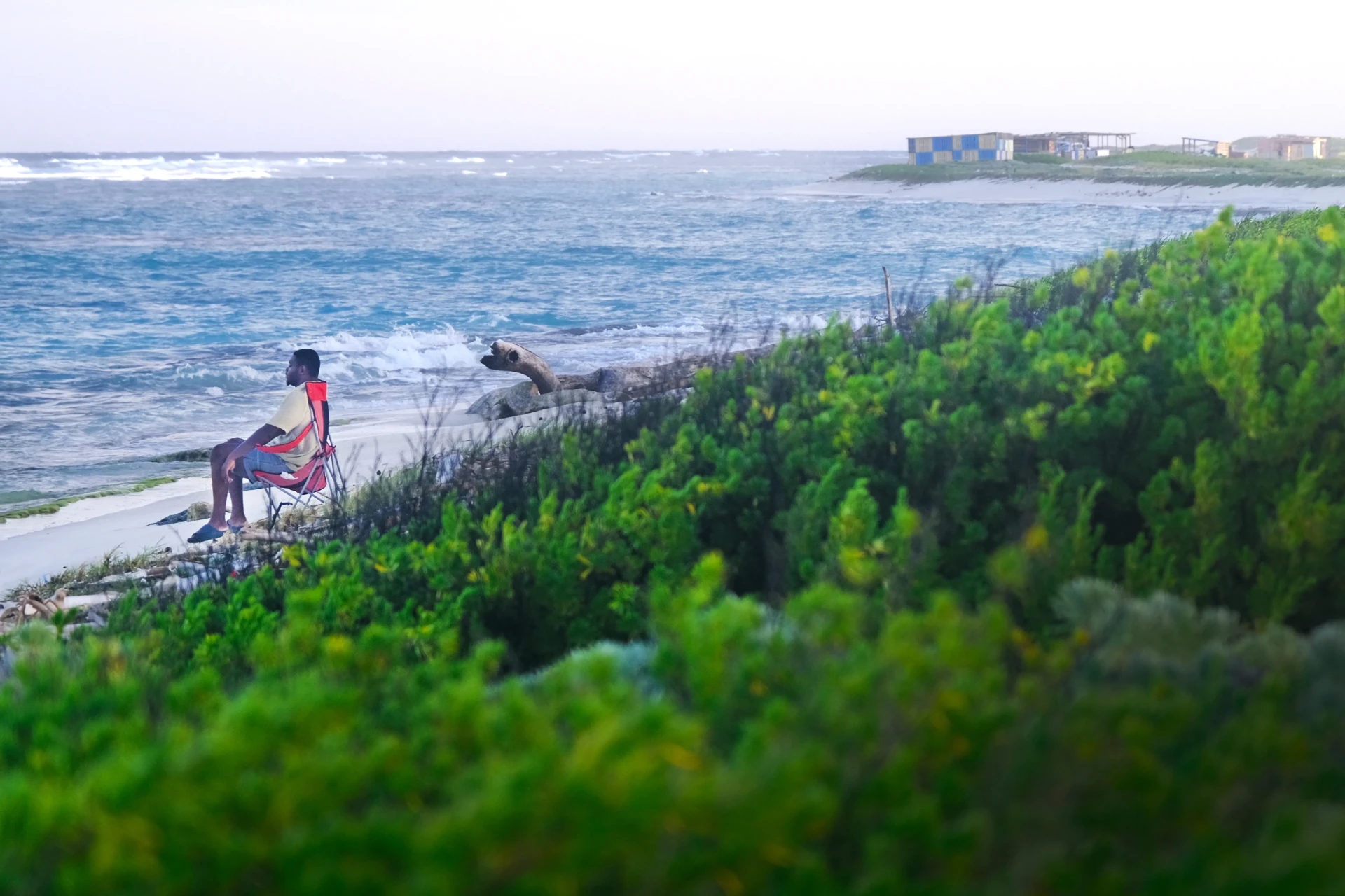 Grapefield Beach Aruba
