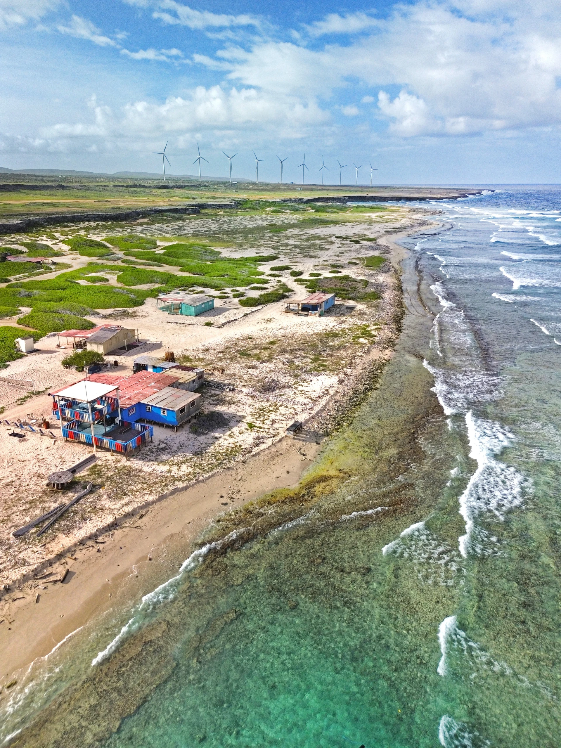 Grapefield Beach Aruba drone photo