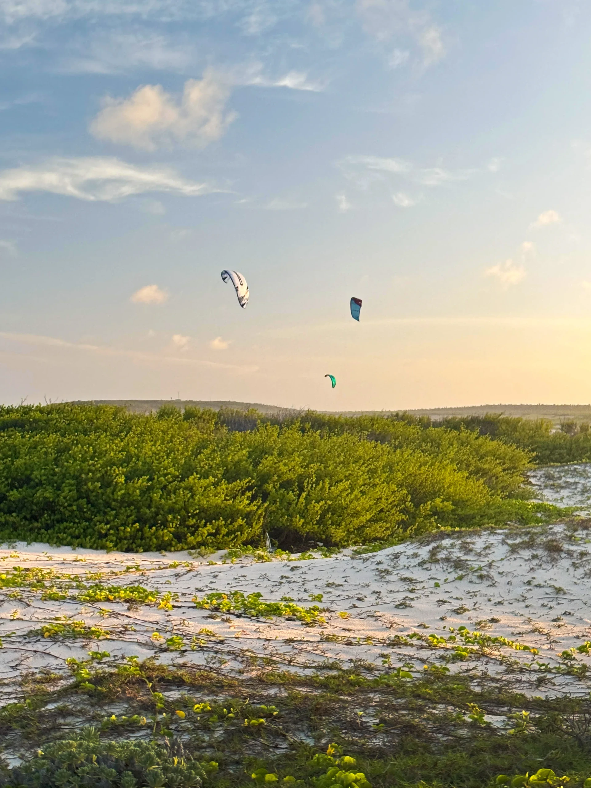Kite surfers at Grapefield Beach Aruba