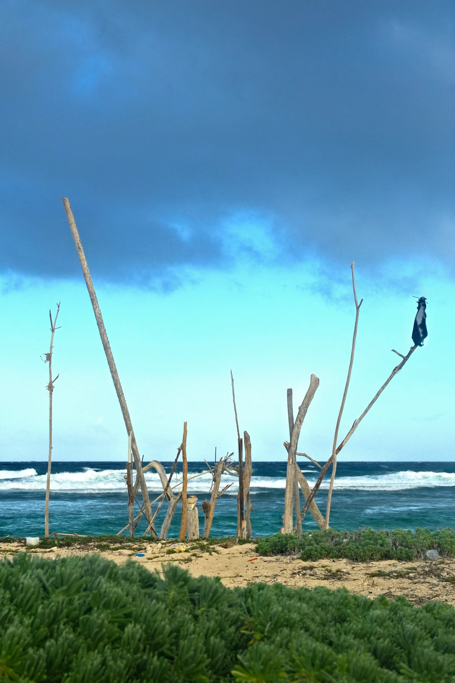Grapefield Beach Aruba