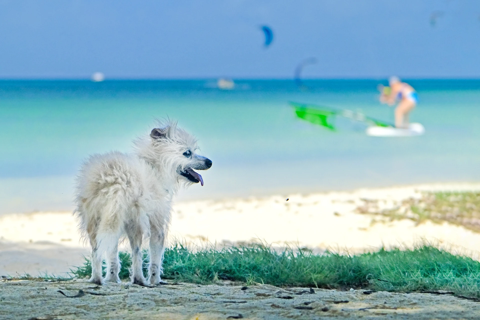 Hadicurari Beach Aruba