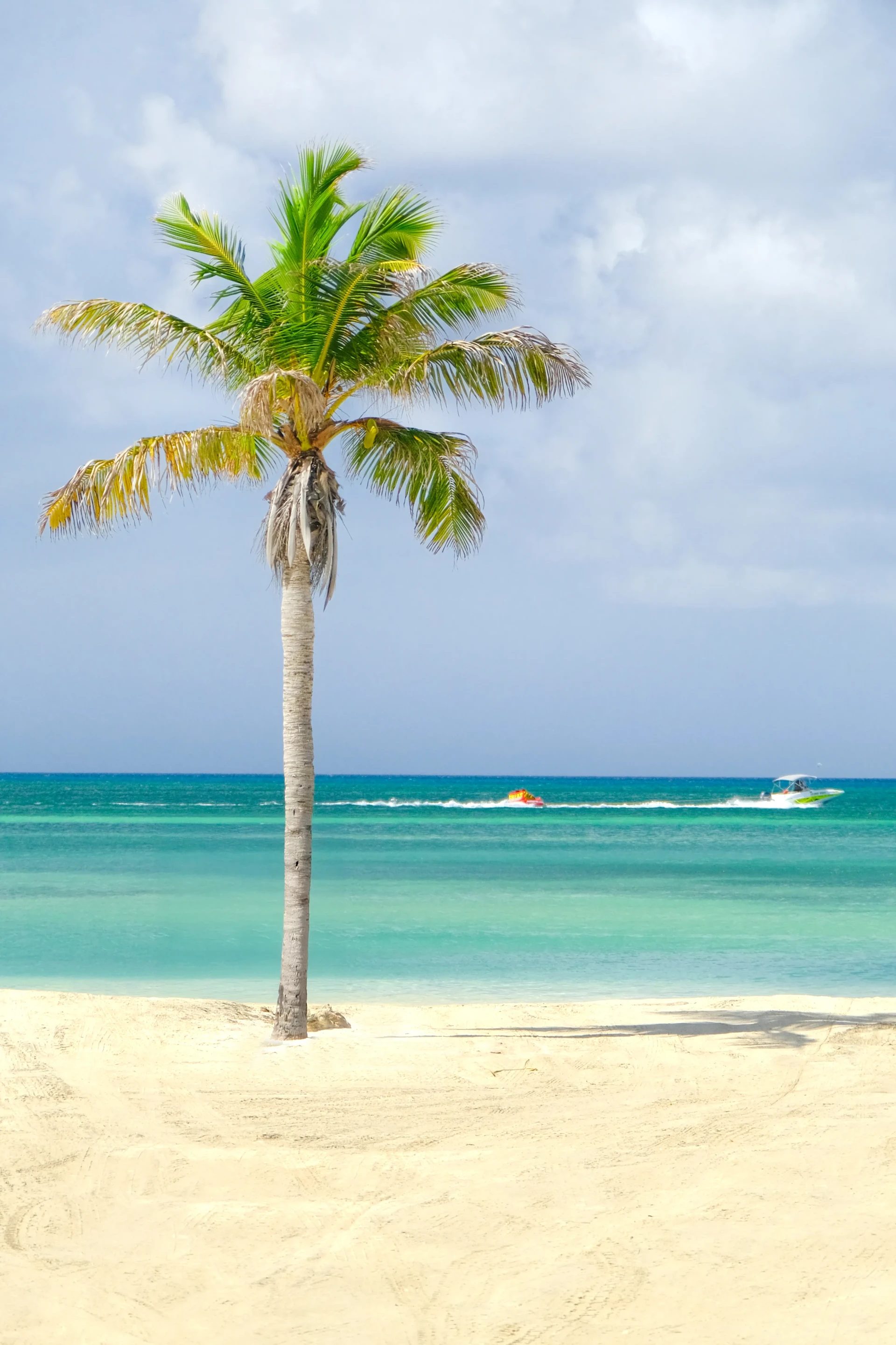 Hadicurari Beach Aruba
