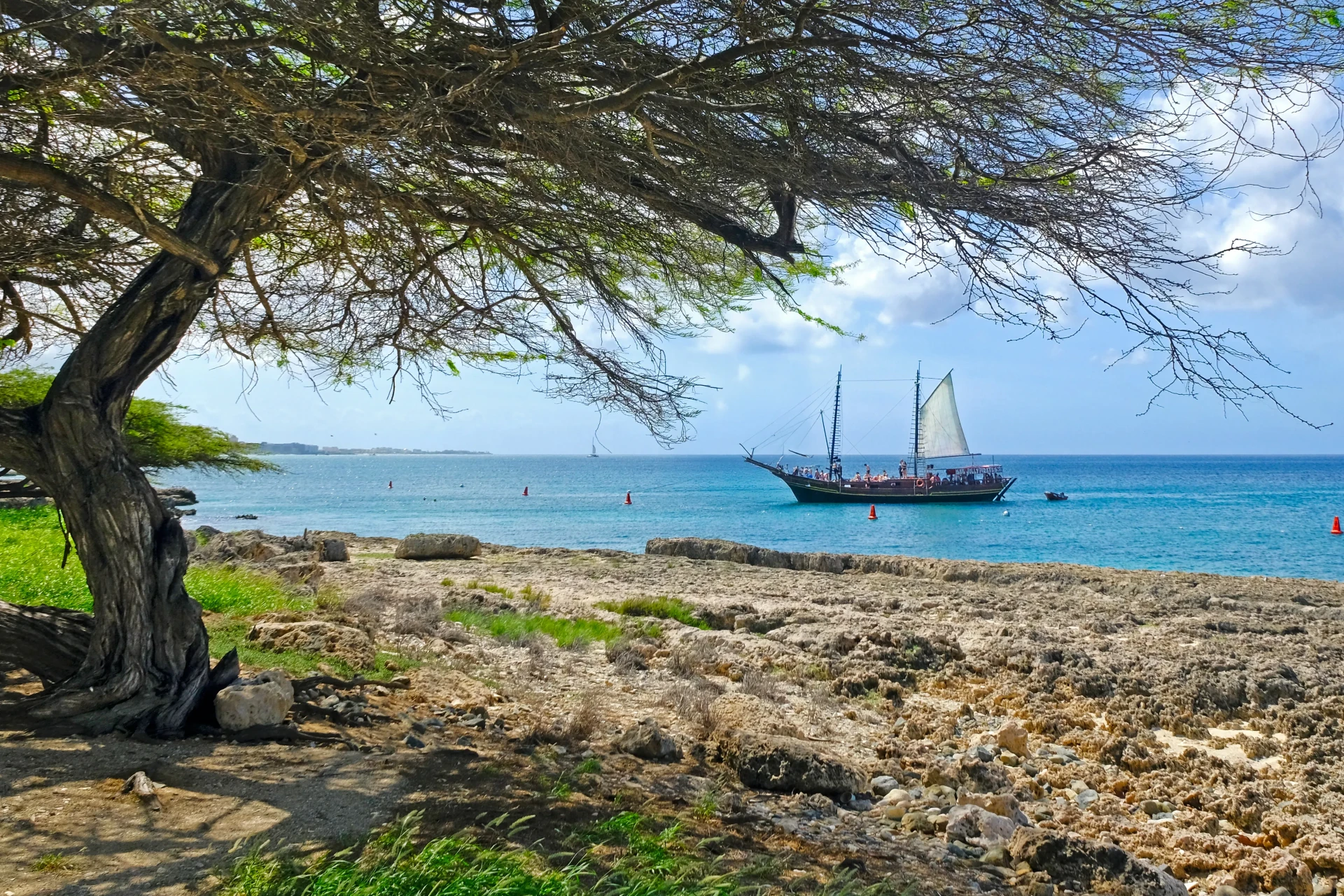 Malmok Beach Aruba