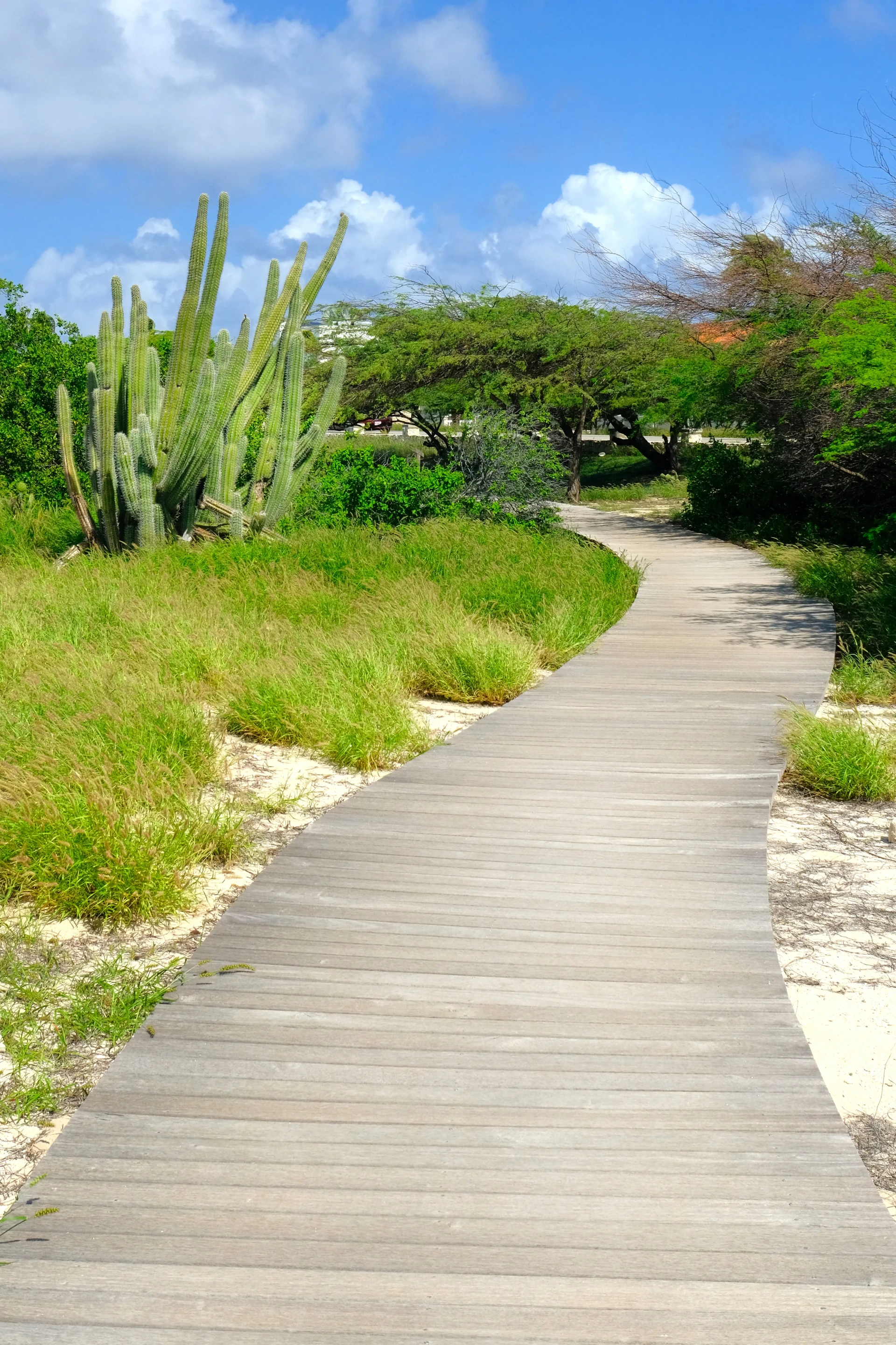 Malmok Boardwalk Aruba