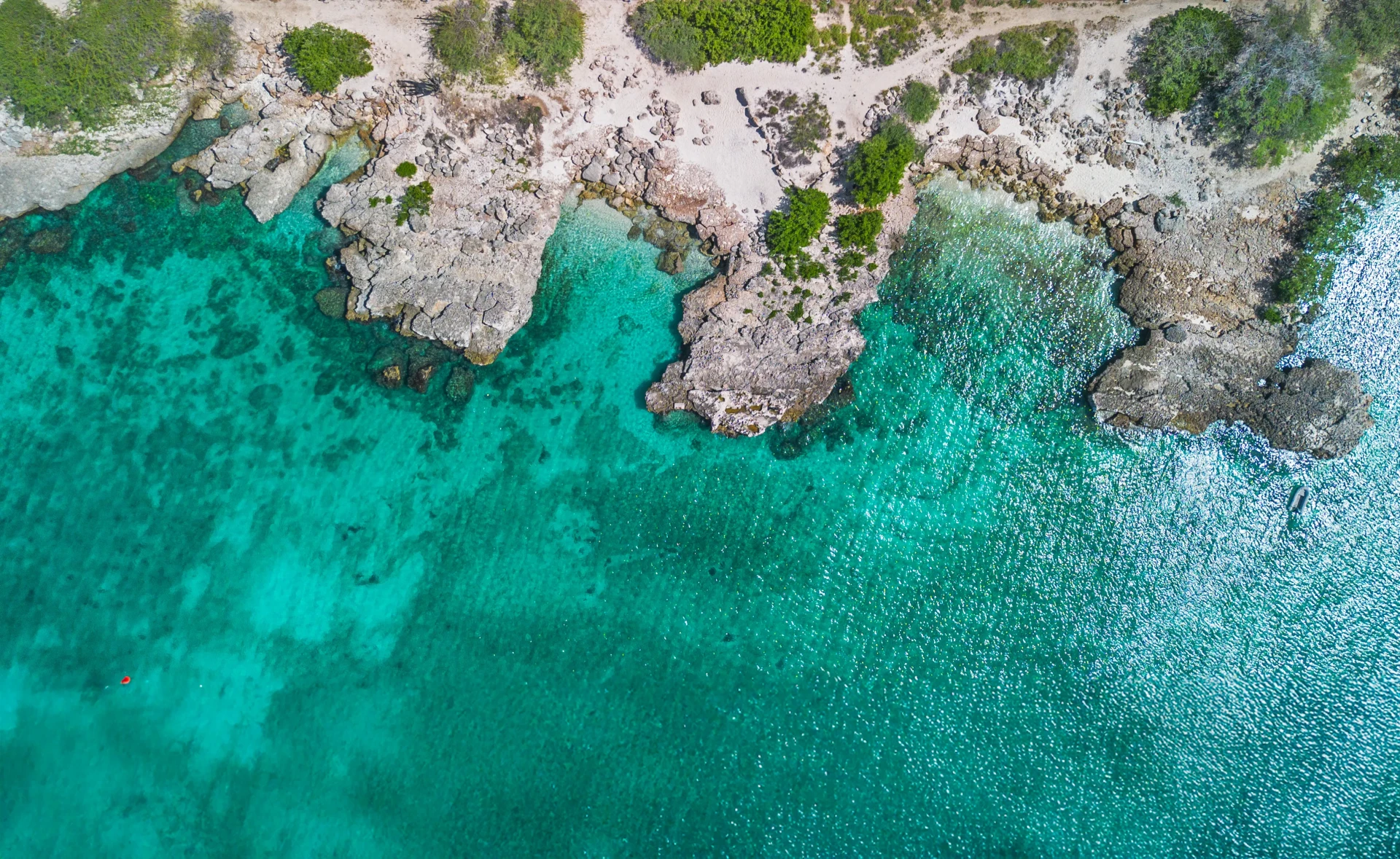 Malmok Beach Aruba drone photo