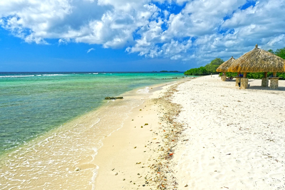 Mangel Halto Beach - 0