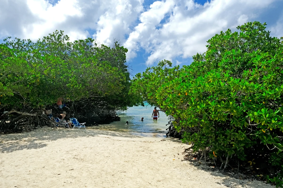 Mangel Halto Beach - 1