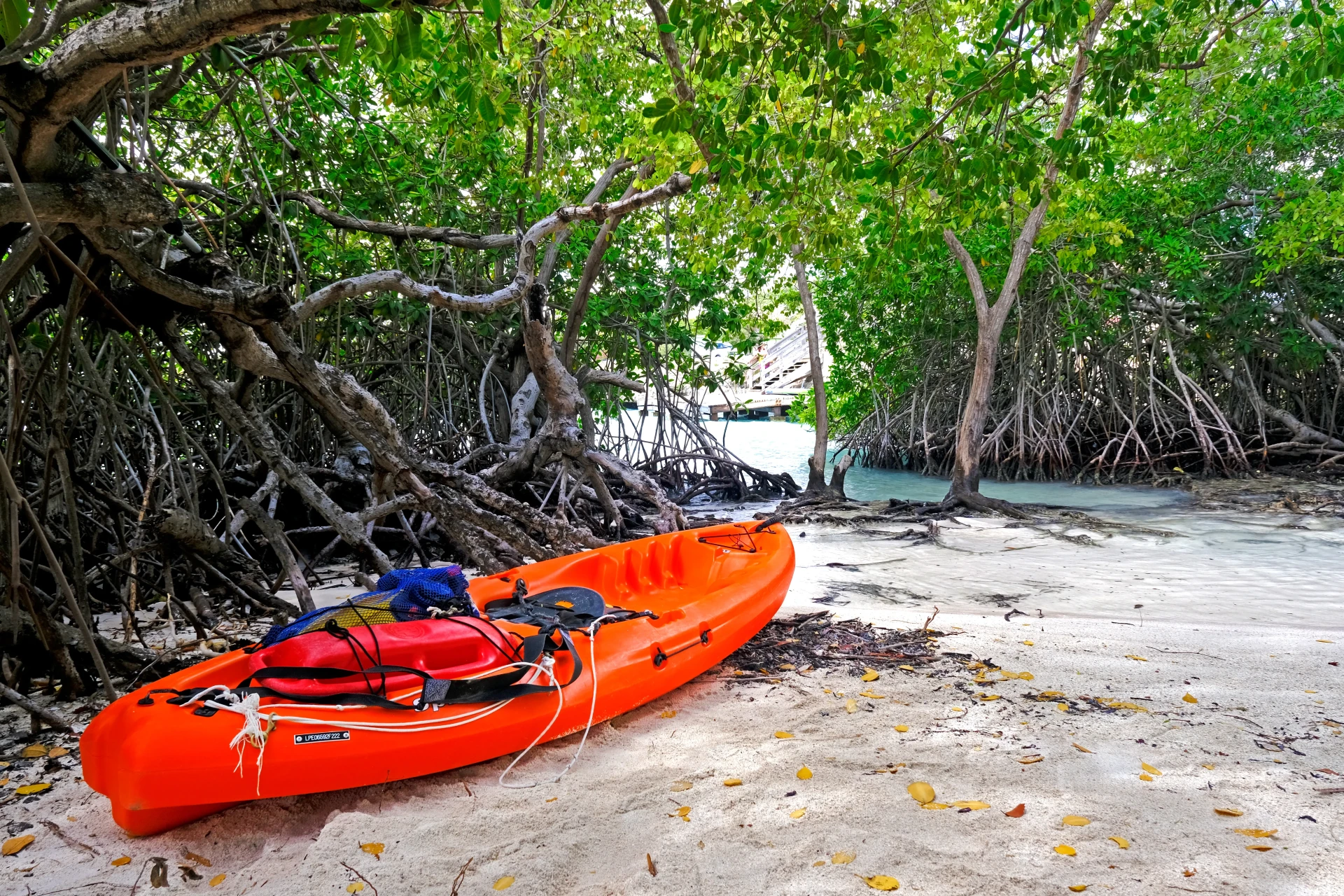Kayaking at Magel Halto Aruba
