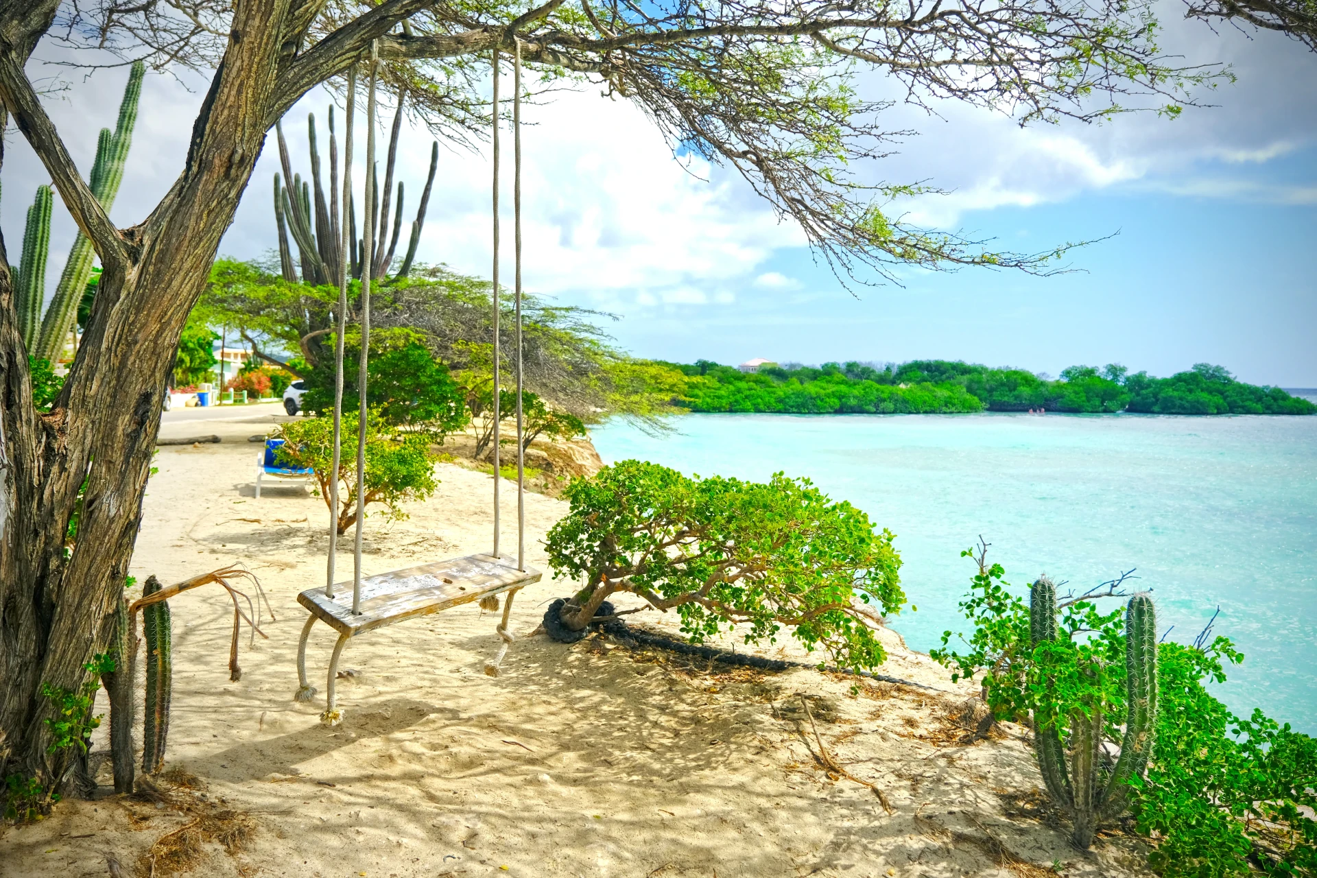 Swing at Magel Halto Aruba