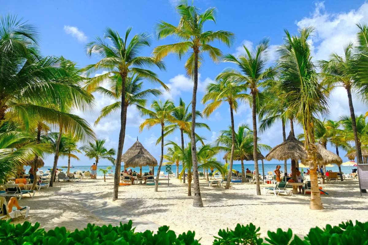 Palm Beach - 1