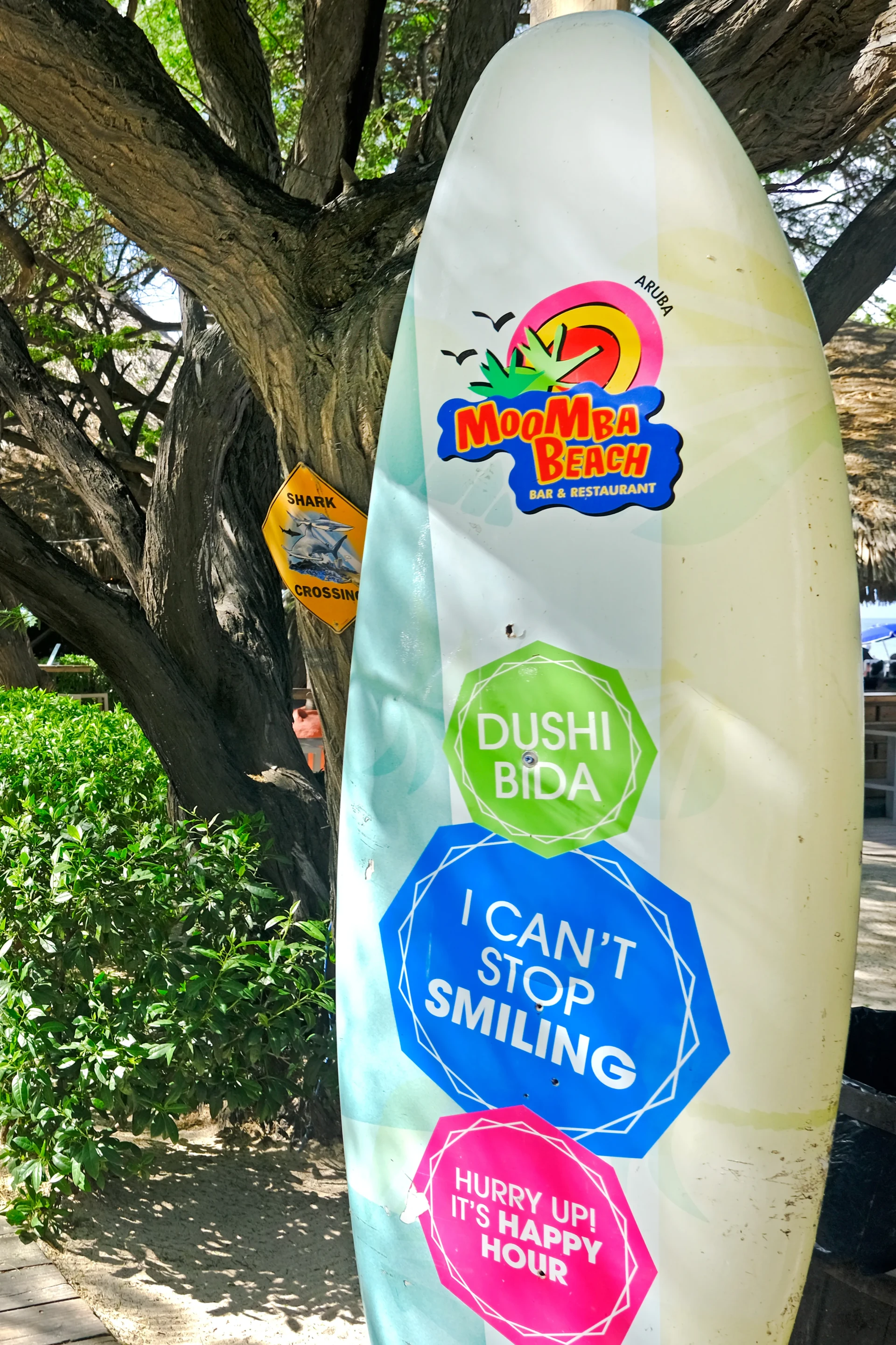 Moomba Beach Bar at Palm Beach Aruba