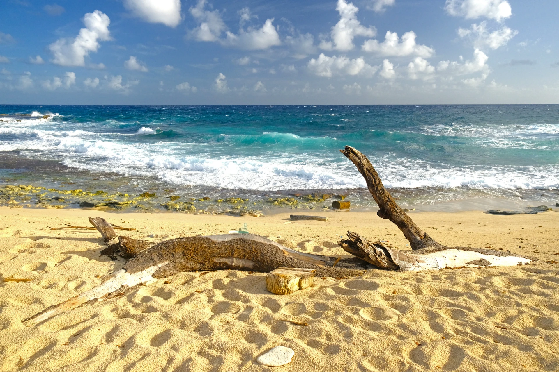 Ranchero Curason Beach Aruba