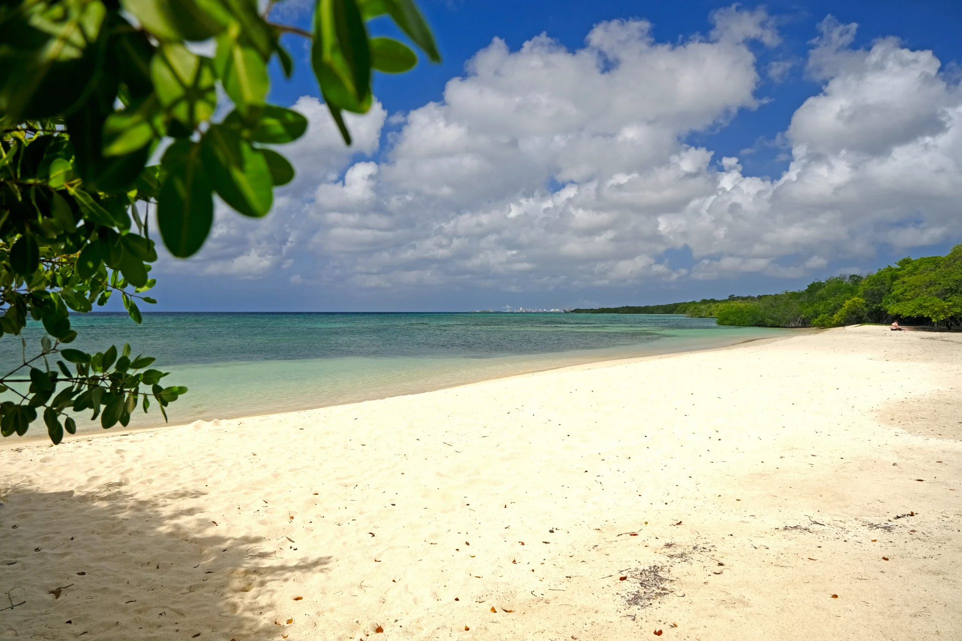 Savaneta Beach Aruba