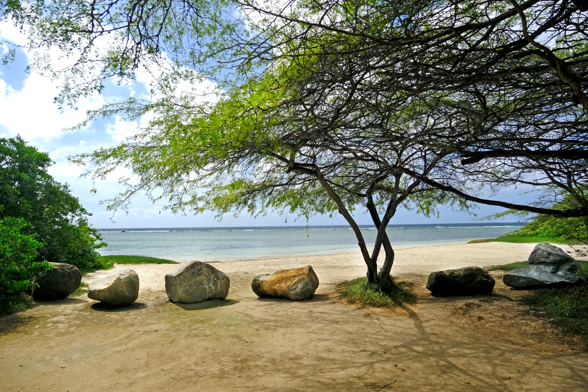 Savaneta Beach Aruba
