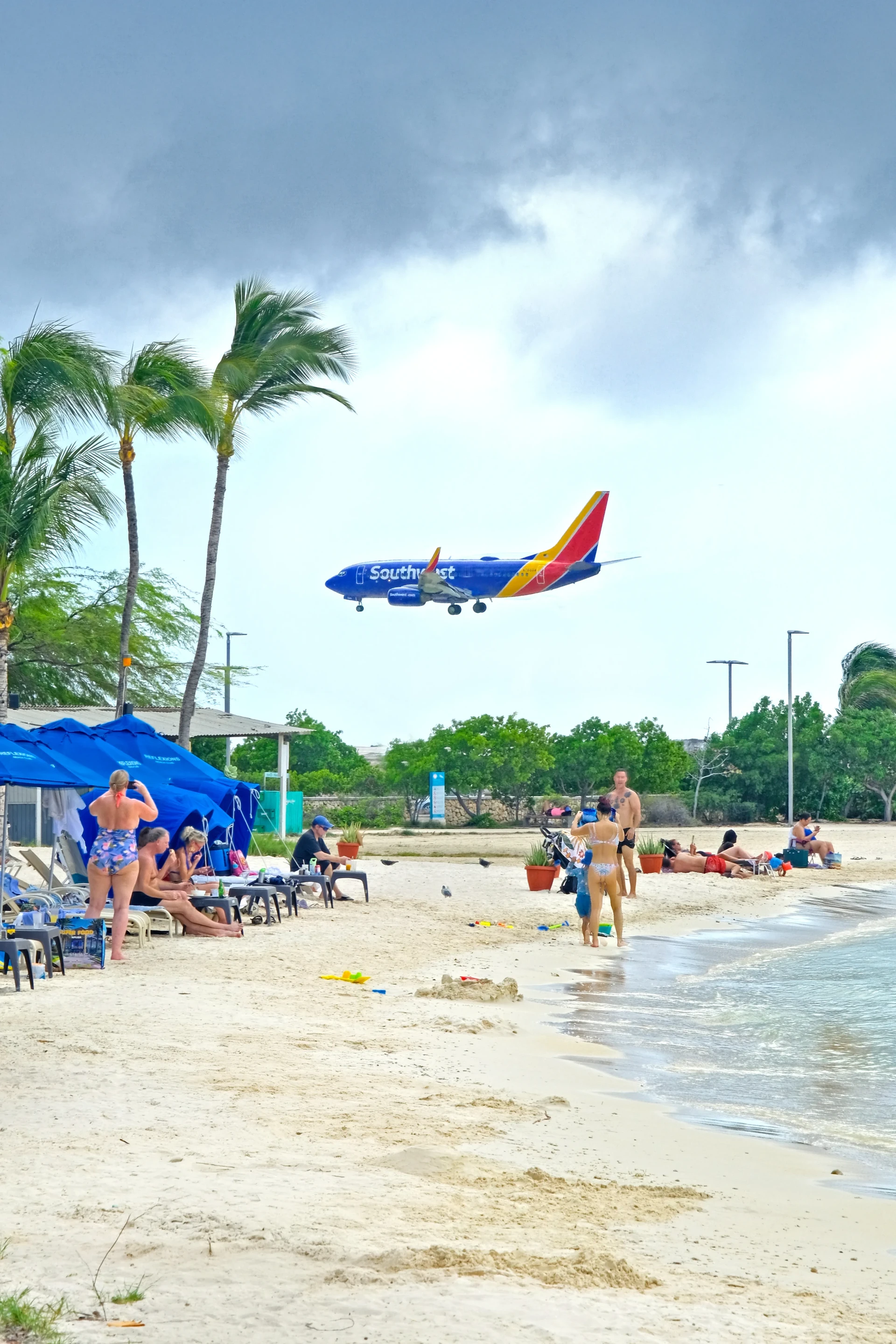 Plane land over Surfside Beach Aruba