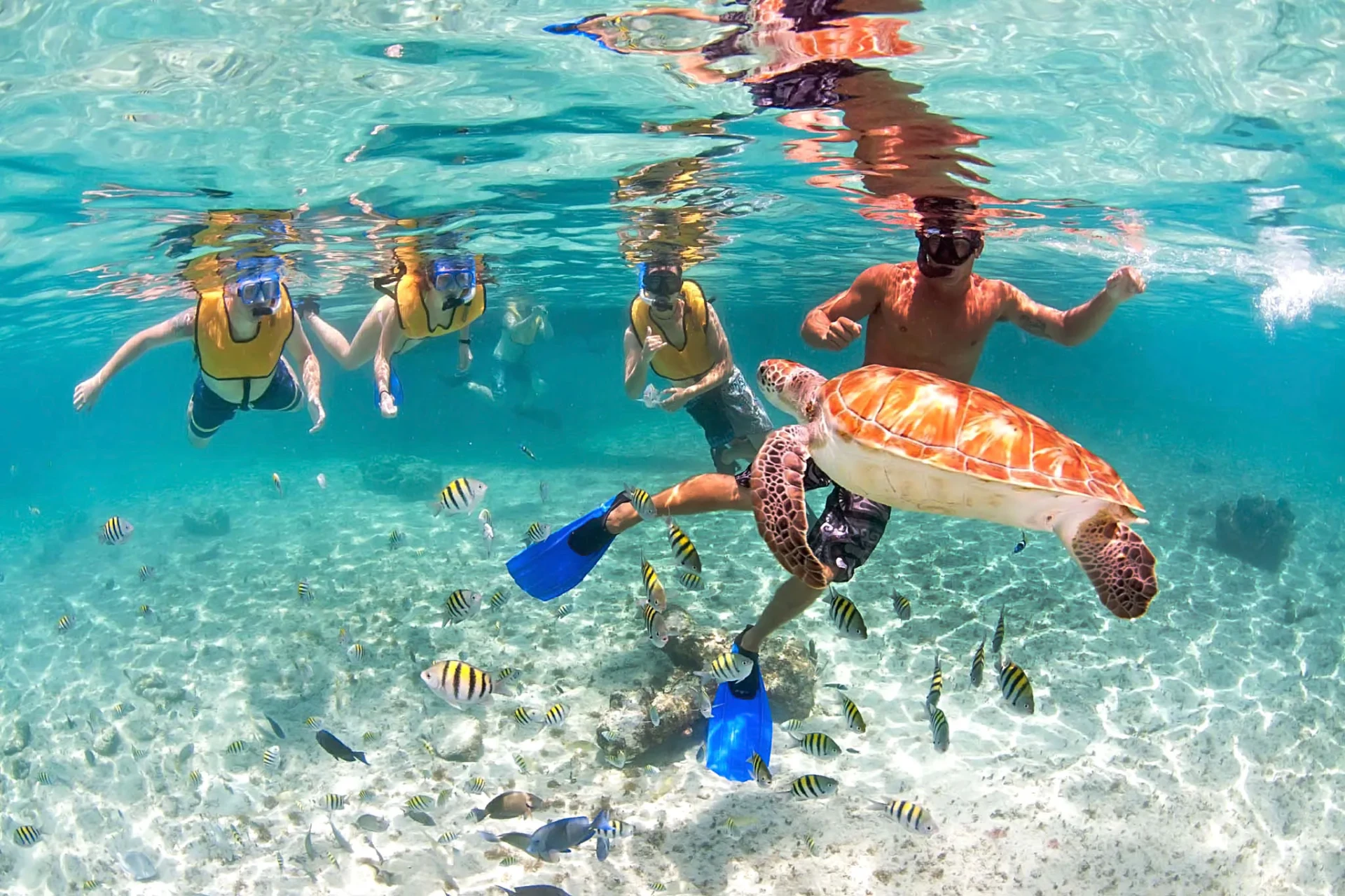 Swimming with turtles at Tres Trapi Aruba