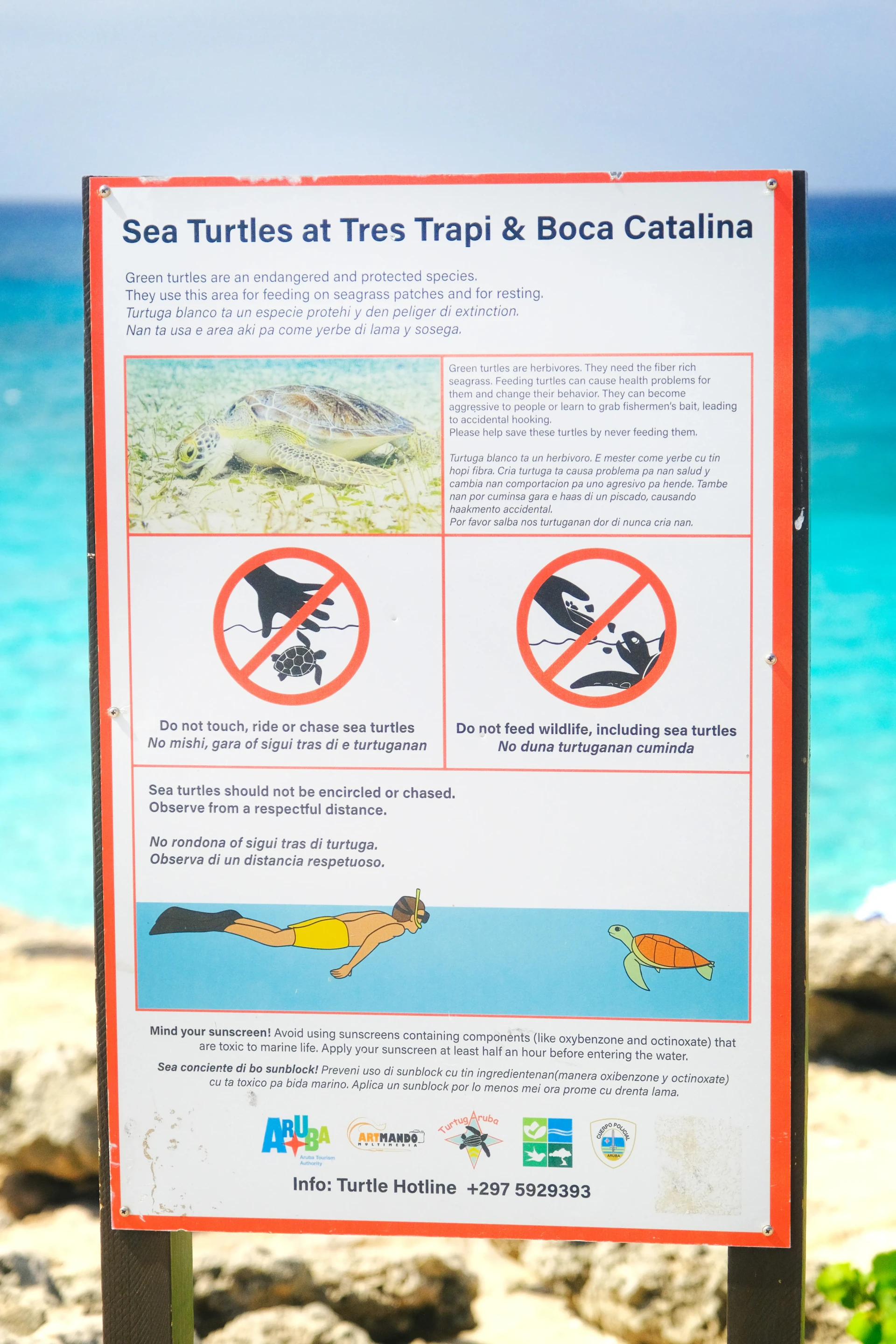 Tres Trapi Beach Aruba