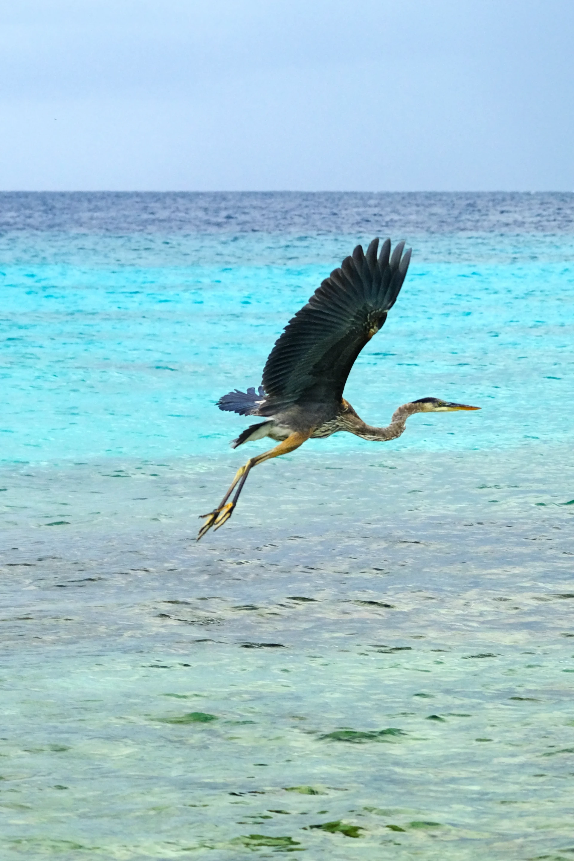 Boka Sint Michiel Curacao