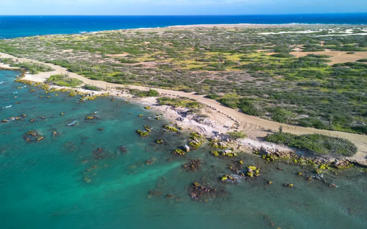 Conch Shell Beach