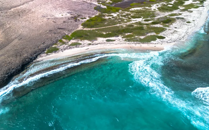 Bachelor's Beach