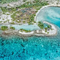 Doggy Beach Curacao 2025